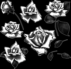 Розы - картинки для гравировки